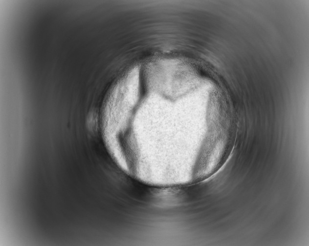 X0000089900191200707192039