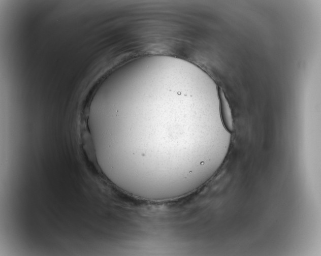 X0000089900194200707192039