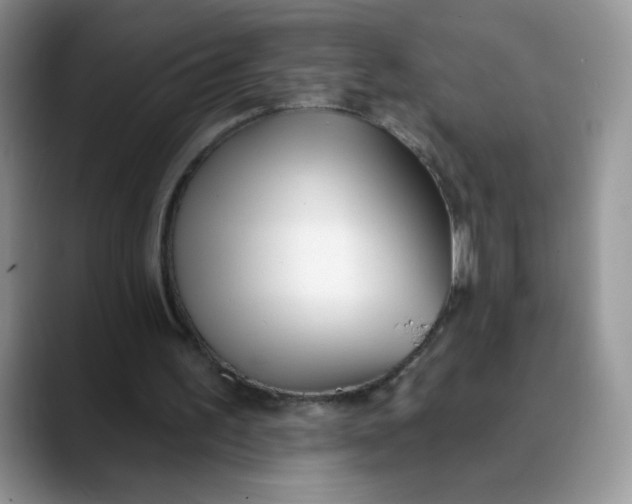 X0000089900195200707192039