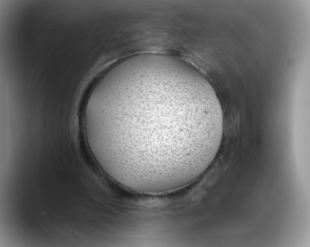 X0000089900198200707192039