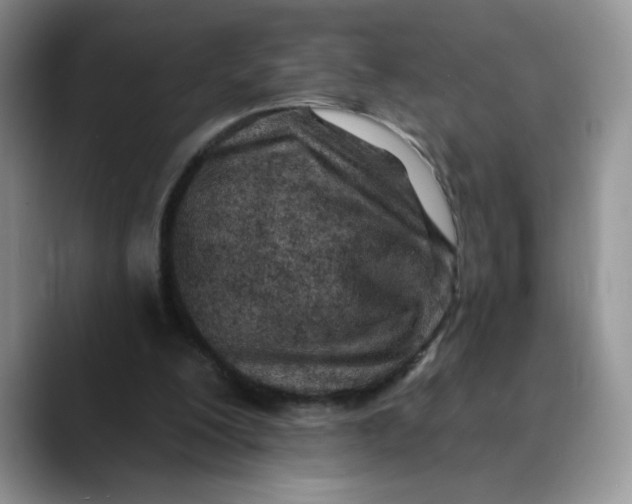 X0000089900200200707192039