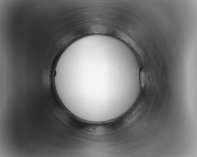 X0000089900203200707192039