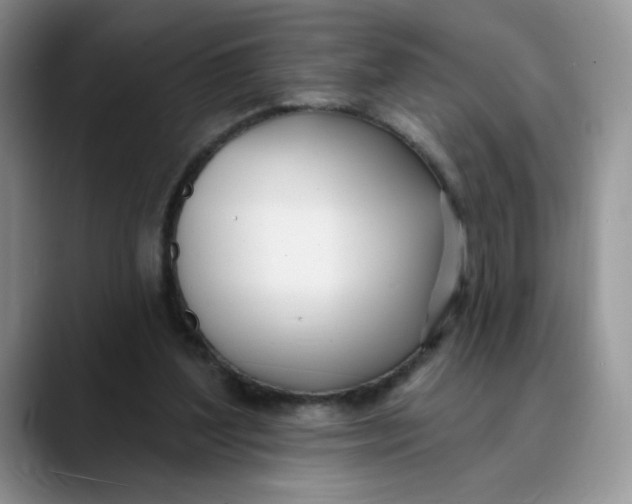 X0000089900204200707192039