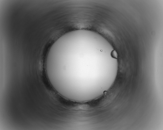 X0000089900210200707192038