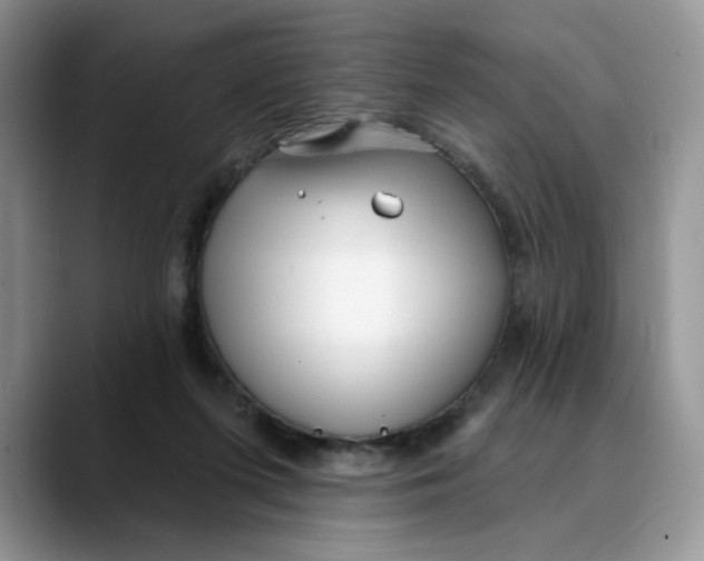 X0000089900215200707192038