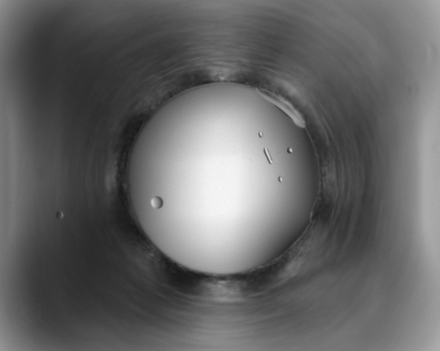 X0000089900221200707192038