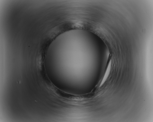 X0000089900223200707192038