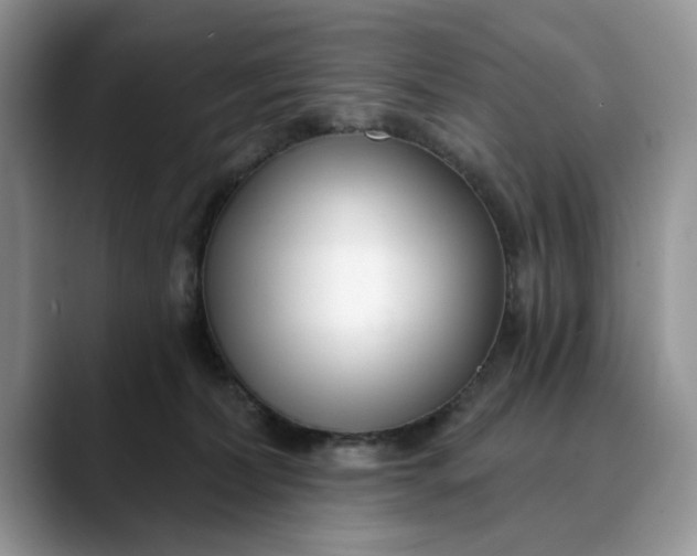 X0000089900228200707192038