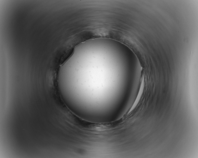 X0000089900229200707192038