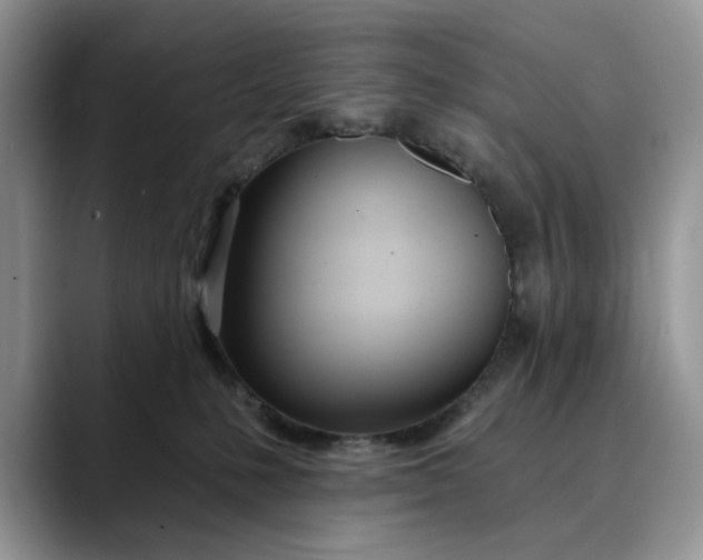 X0000089900231200707192038