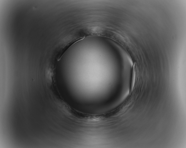 X0000089900235200707192038