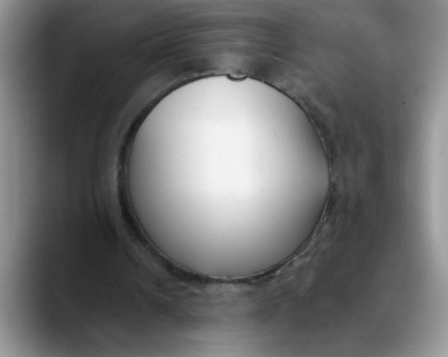 X0000089900242200707192038
