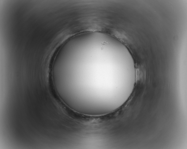 X0000089900243200707192038