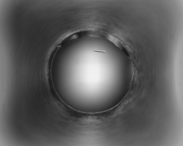X0000089900244200707192038