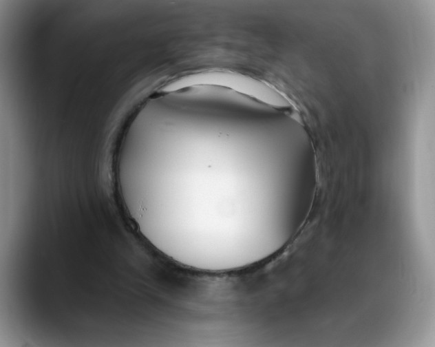 X0000089900245200707192038