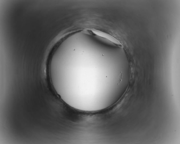 X0000089900246200707192038