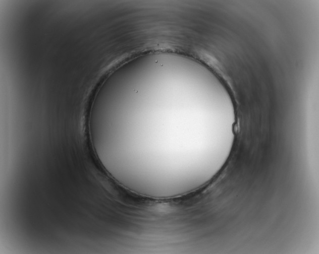 X0000089900249200707192038