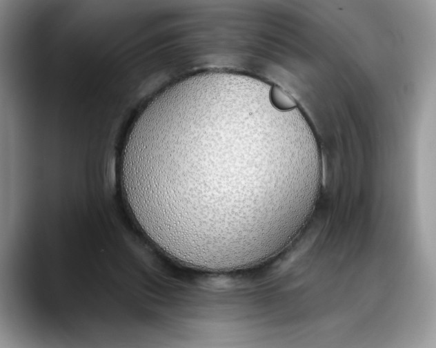 X0000089900253200707192038