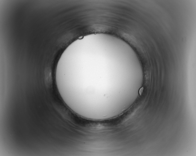 X0000089900254200707192038