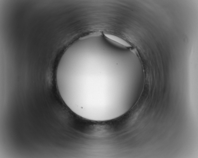 X0000089900255200707192038