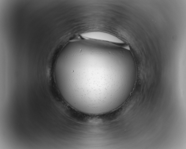 X0000089900258200707192038