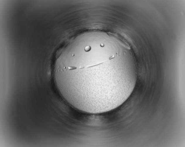 X0000089900261200707192038