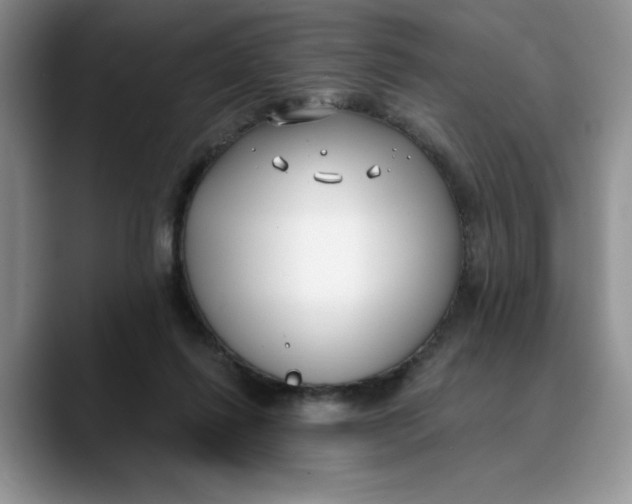 X0000089900262200707192038