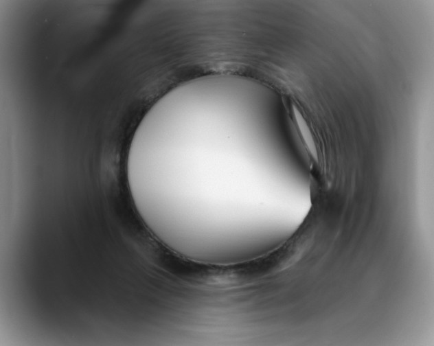 X0000089900263200707192038