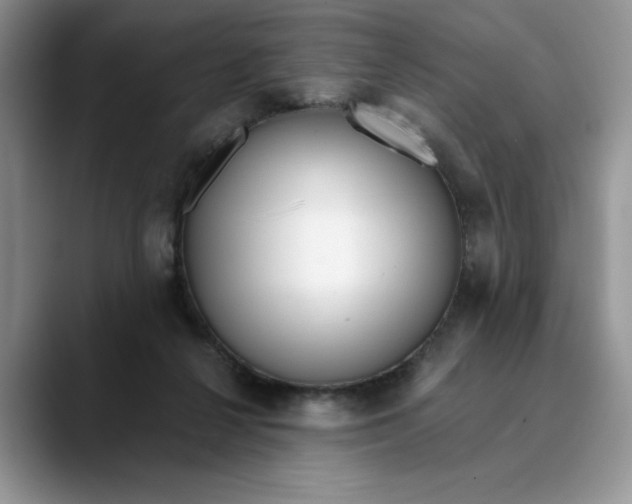 X0000089900264200707192038