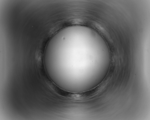X0000089900265200707192038