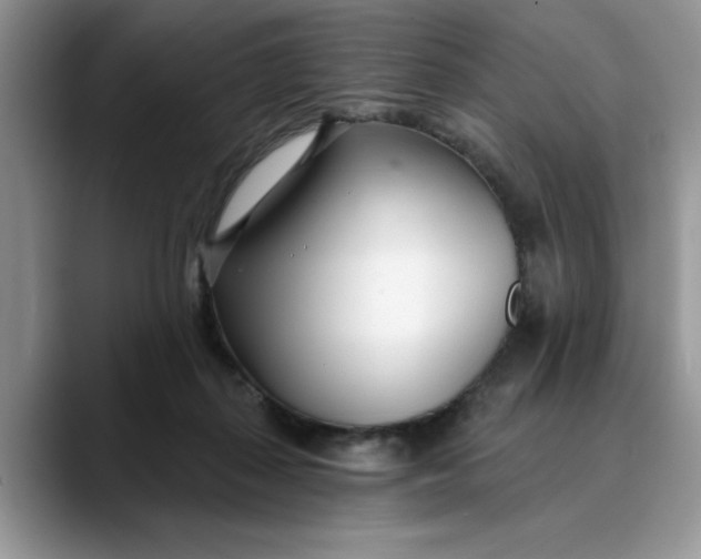 X0000089900267200707192038