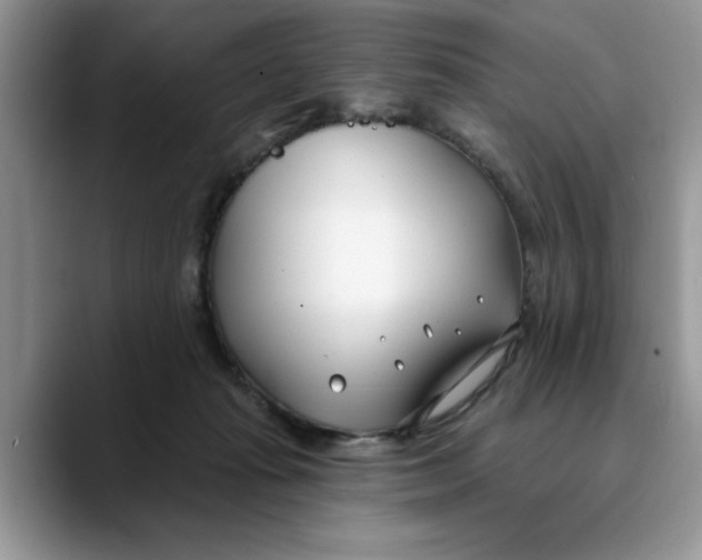 X0000089900269200707192038