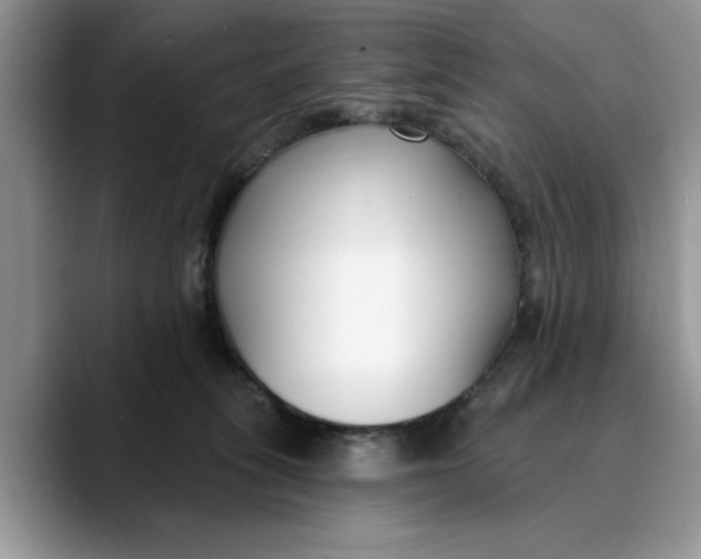 X0000089900275200707192038