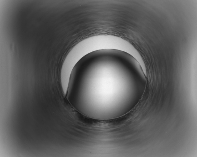 X0000089900276200707192038