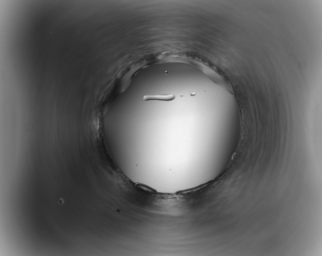 X0000089900288200707192038