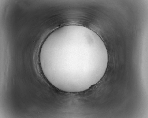X0000089900289200707192038