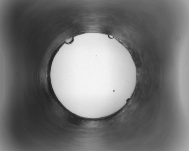 X0000089900293200707192038