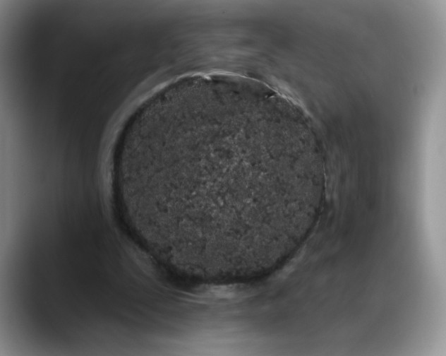 X0000089900295200707192038