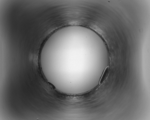 X0000089900297200707192037