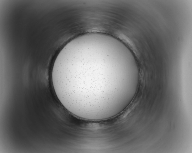 X0000089900298200707192037