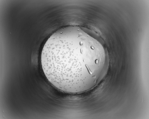 X0000089900299200707192037