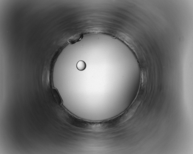 X0000089900301200707192037