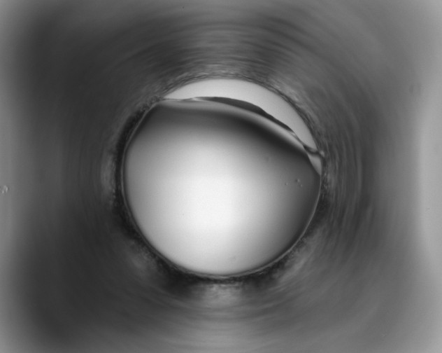 X0000089900303200707192037