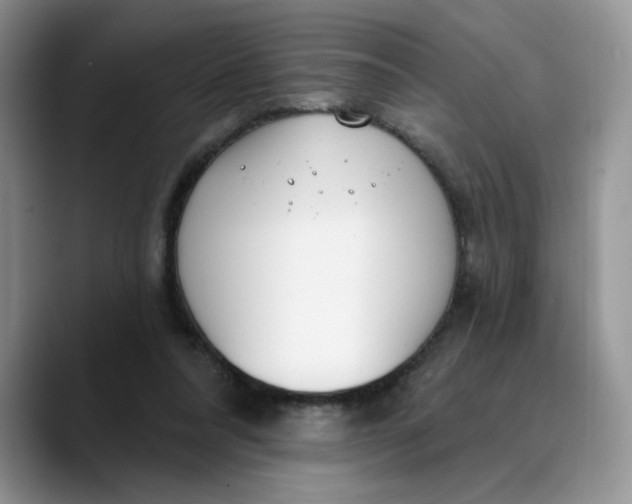 X0000089900304200707192037
