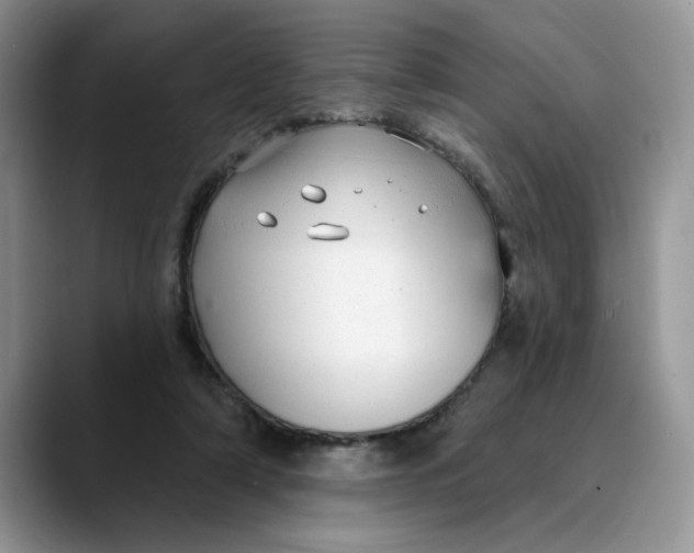 X0000089900306200707192037