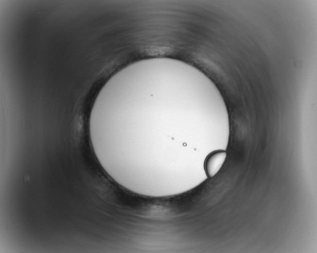 X0000089900308200707192037