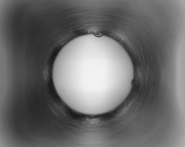 X0000089900311200707192037