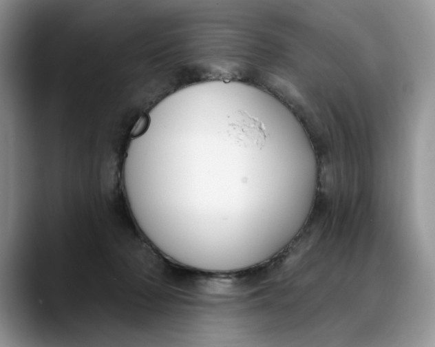 X0000089900318200707192037