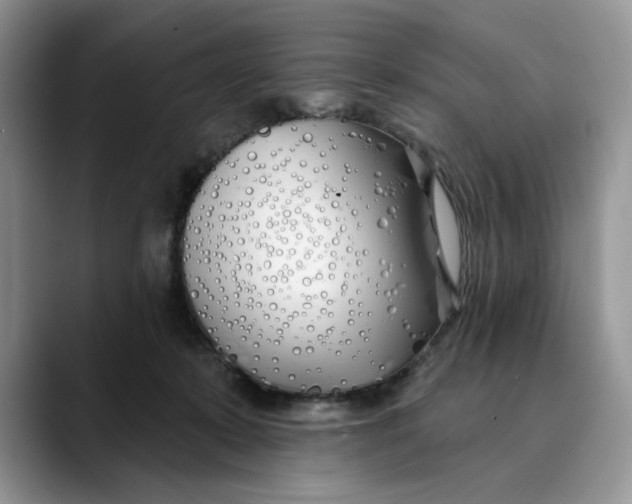 X0000089900319200707192037