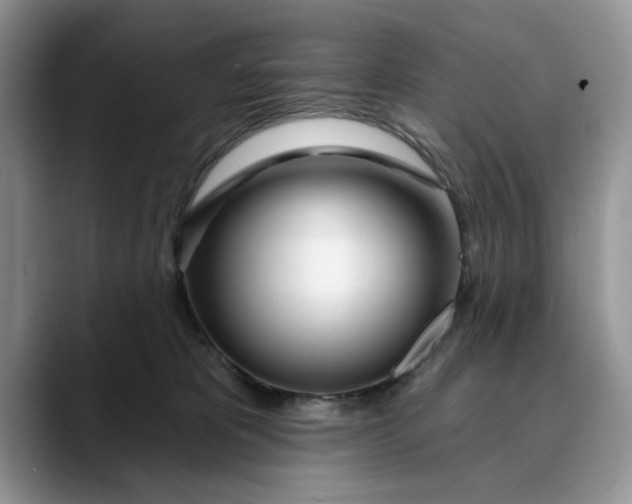 X0000089900325200707192037